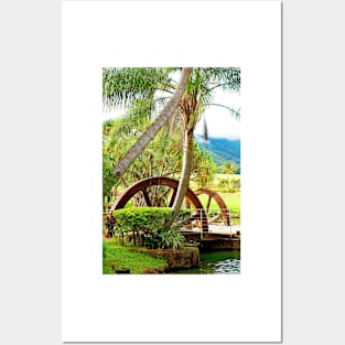 Tropical Plantation Maui Study 16 Posters and Art